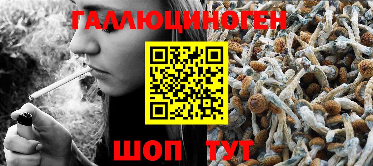 Псилоцибиновые грибы Magic Shrooms Хабаровск